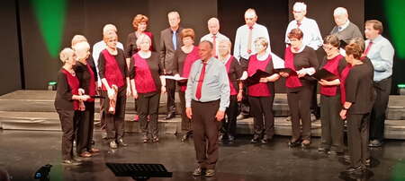 Revija odraslih pevskih zborov 27.3. - 1